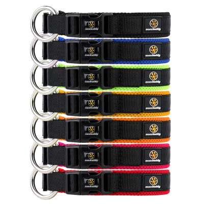 Free Sample Custom Dog Collars With Soft Mesh Padded  Nylon Dog Collar